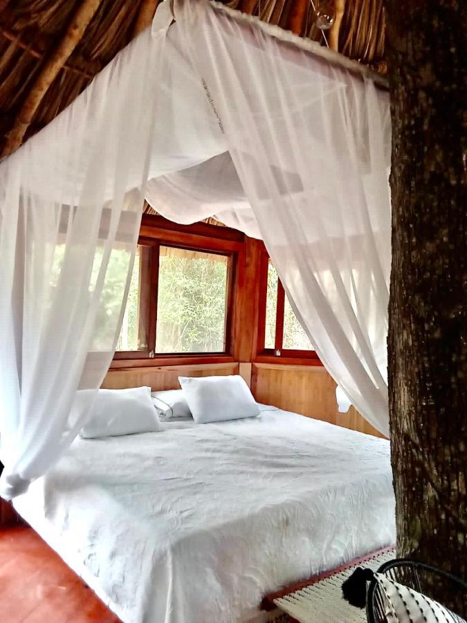 Nuscaa Boutique Tree House & Spa Hotel Puerto Morelos Luaran gambar