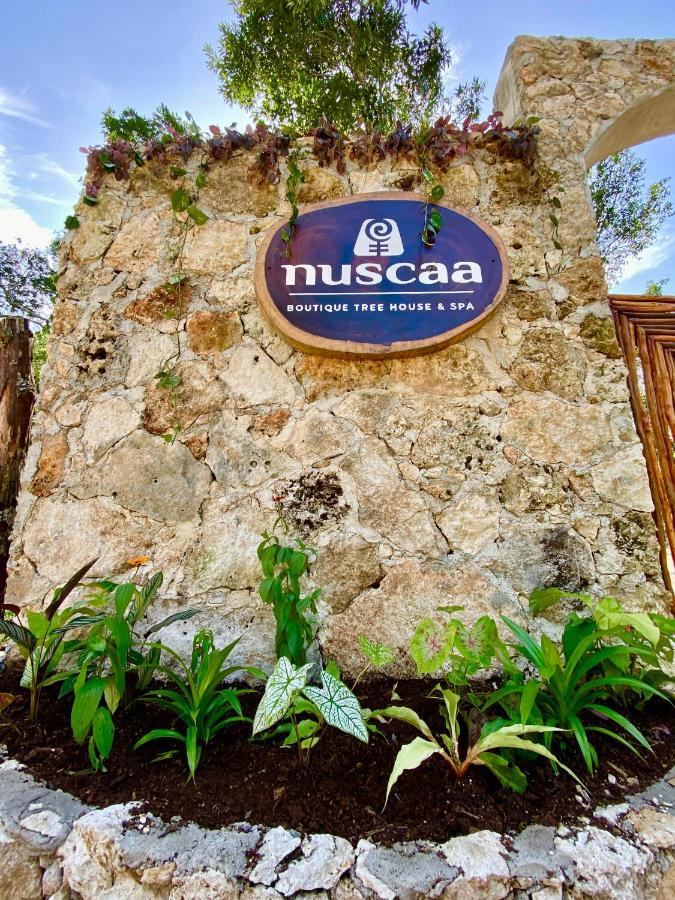 Nuscaa Boutique Tree House & Spa Hotel Puerto Morelos Luaran gambar