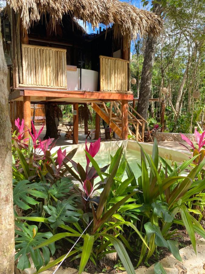 Nuscaa Boutique Tree House & Spa Hotel Puerto Morelos Luaran gambar