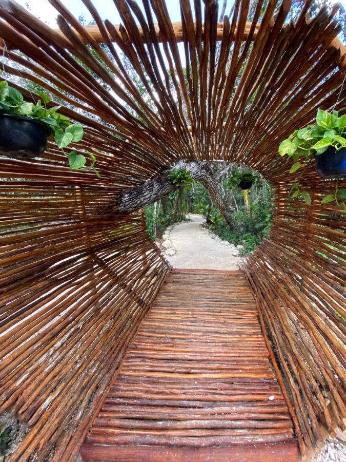 Nuscaa Boutique Tree House & Spa Hotel Puerto Morelos Luaran gambar