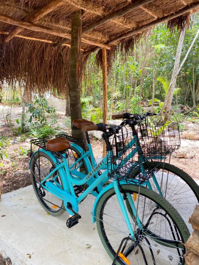 Nuscaa Boutique Tree House & Spa Hotel Puerto Morelos Luaran gambar