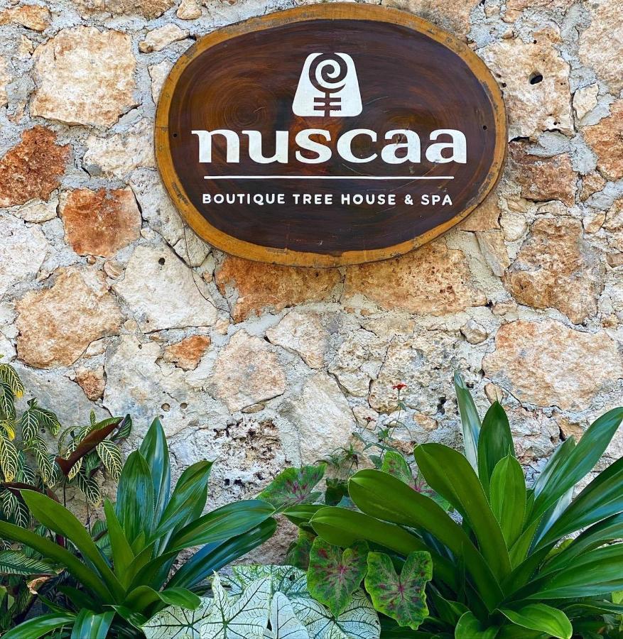 Nuscaa Boutique Tree House & Spa Hotel Puerto Morelos Luaran gambar